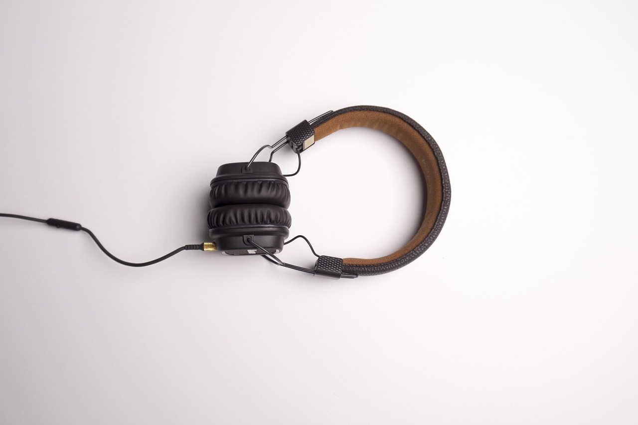Wired earphones